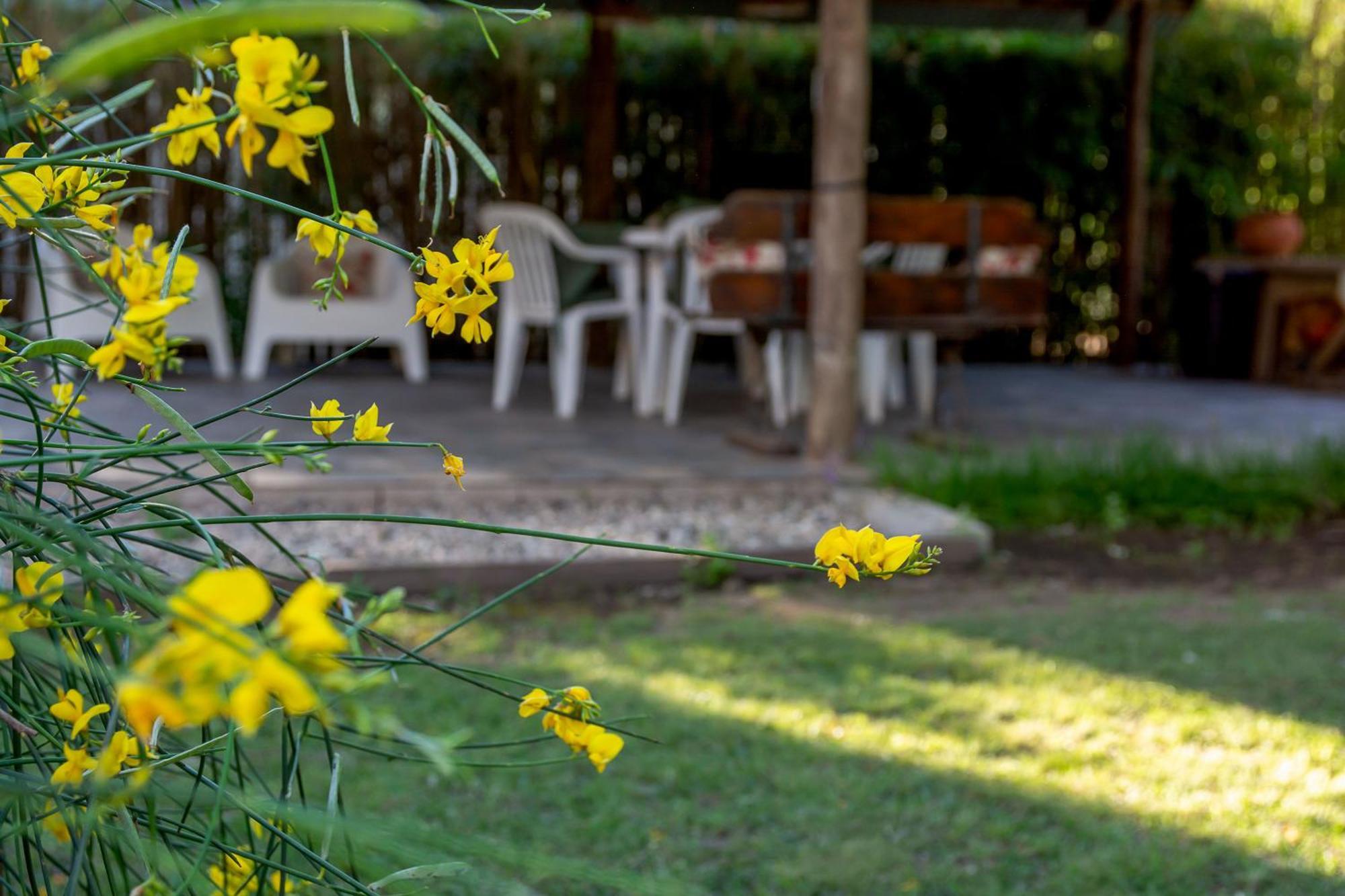 Finca El Amparo Guest House Los Reartes Exterior foto